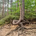 Utopka Nad Morzem Nyaraló *