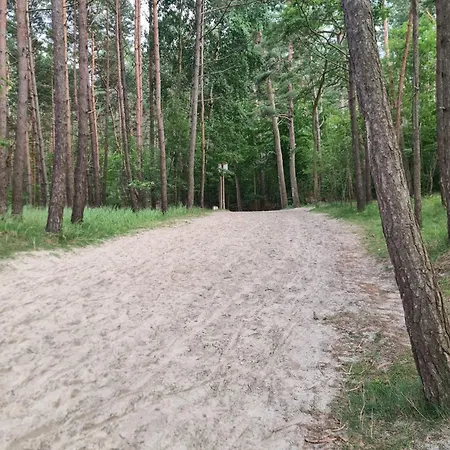 Utopka Nad Morzem * Sztutowo