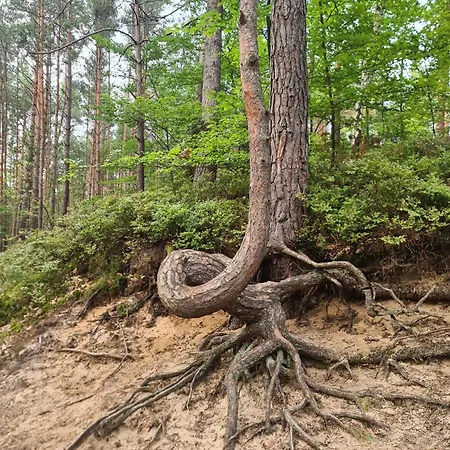 Utopka Nad Morzem Prázdninový dům *