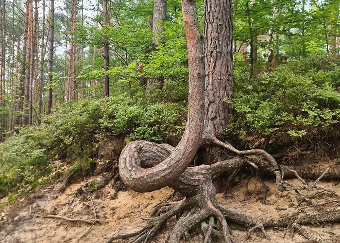 Utopka Nad Morzem Dom wakacyjny *